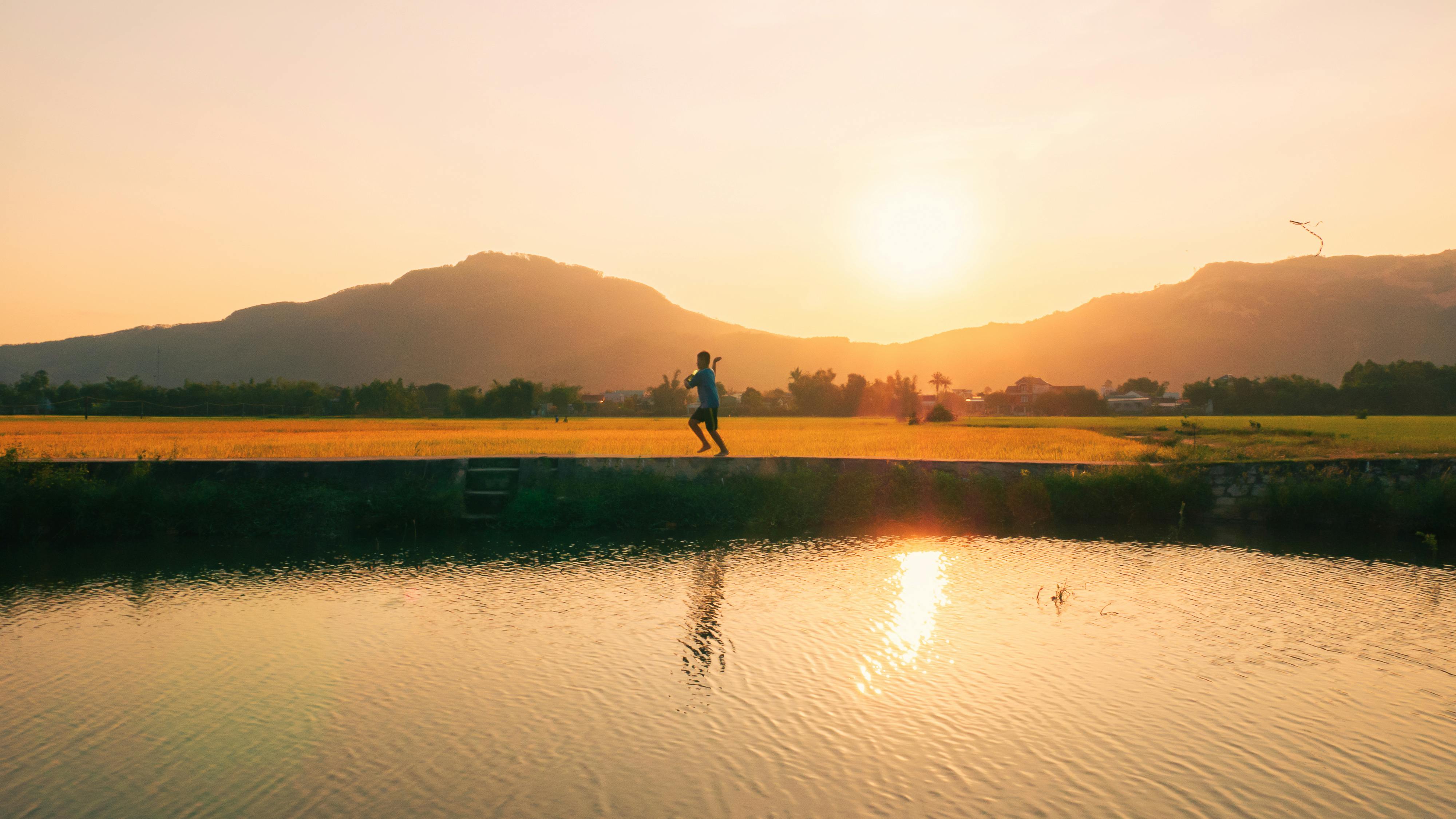 Follow the Sun | Global perspectives on data, privacy &amp; cybersecurity — Photo by Vũ  Bụi on Pexels