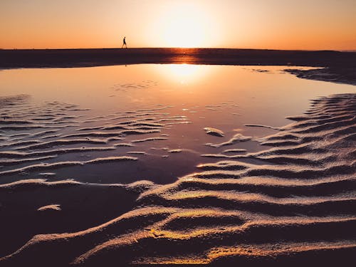 Безкоштовне стокове фото на тему «берег, з підсвіткою, Захід сонця» стокове фото