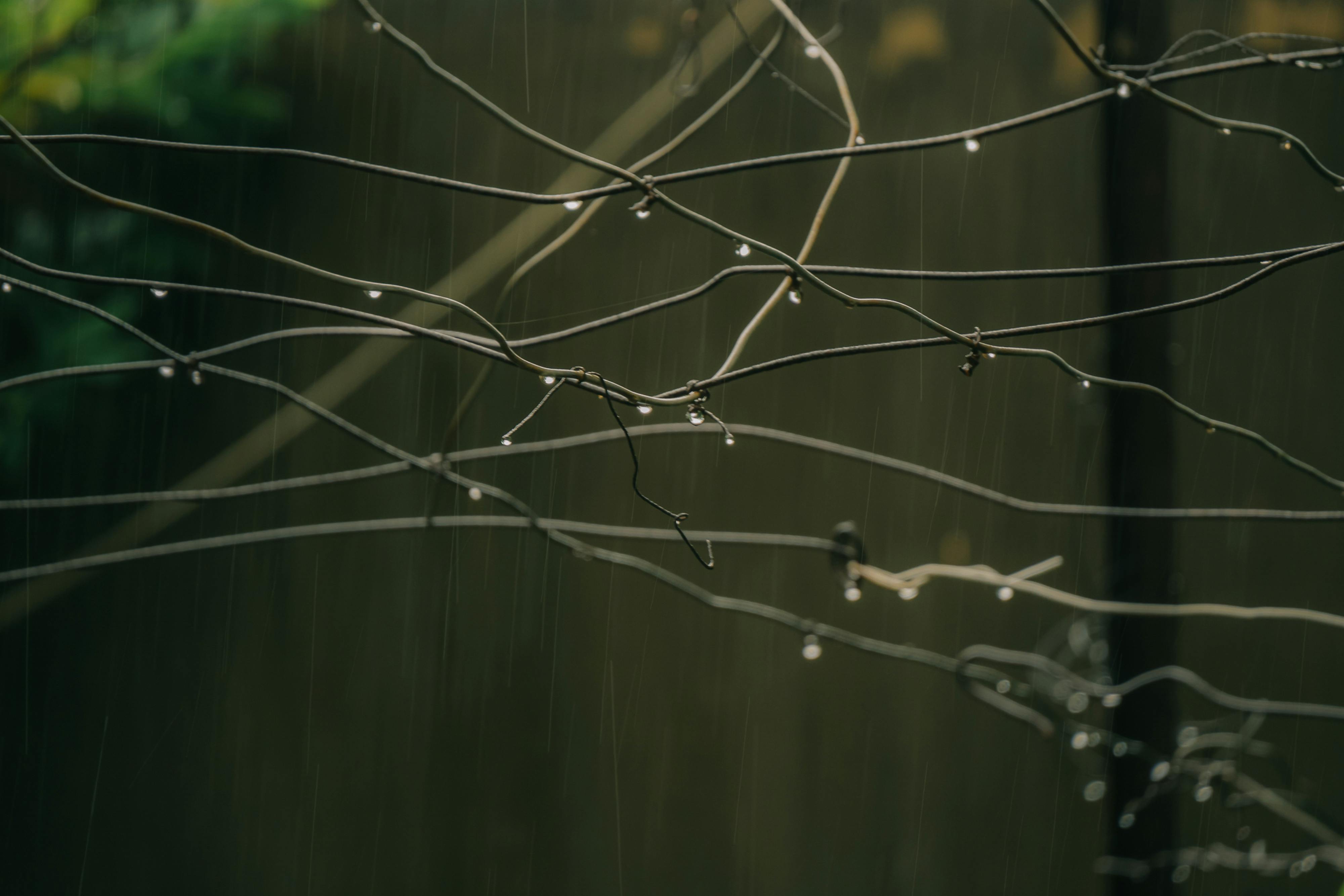 What to Do If Water Gets Into Your Electrical System