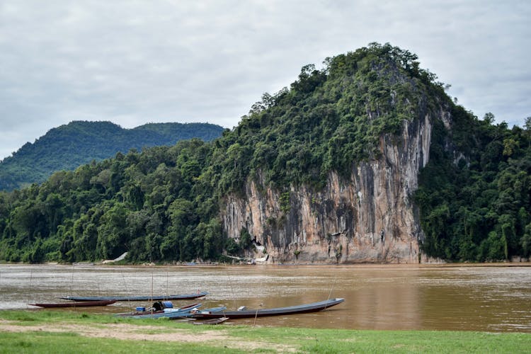 Trees On Rocky Cliff Beside River