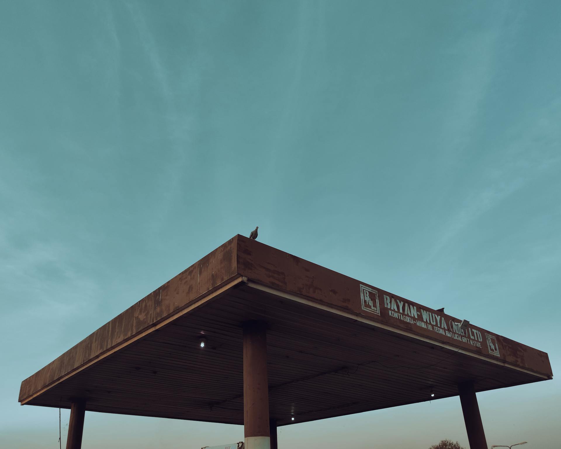 A lone bird perches on a weathered gas station canopy against a serene sky.