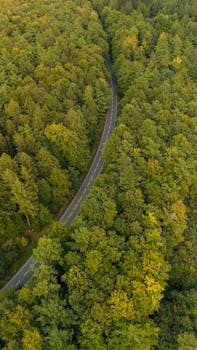 Breathtaking aerial shot of a winding road cutting through a lush, green forest.