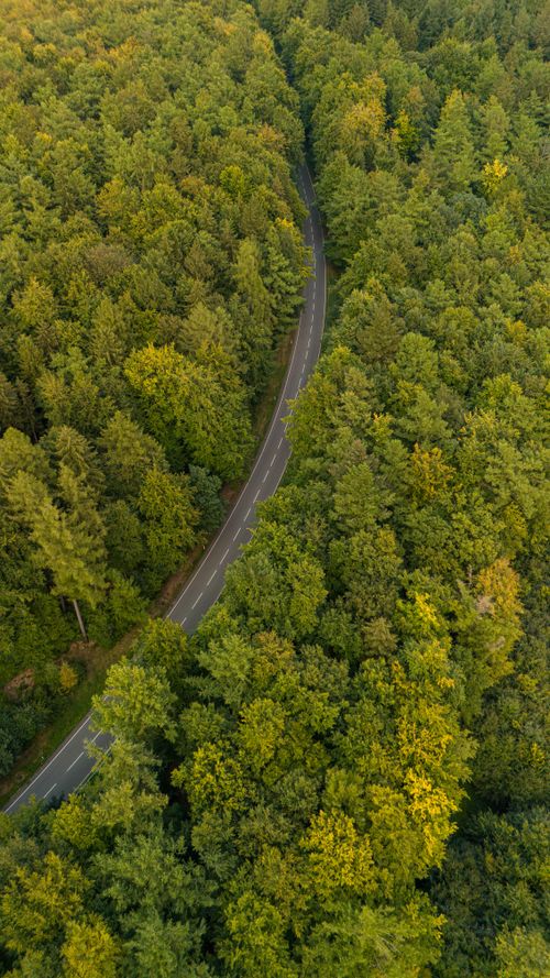 Free Breathtaking aerial shot of a winding road cutting through a lush, green forest. Stock Photo