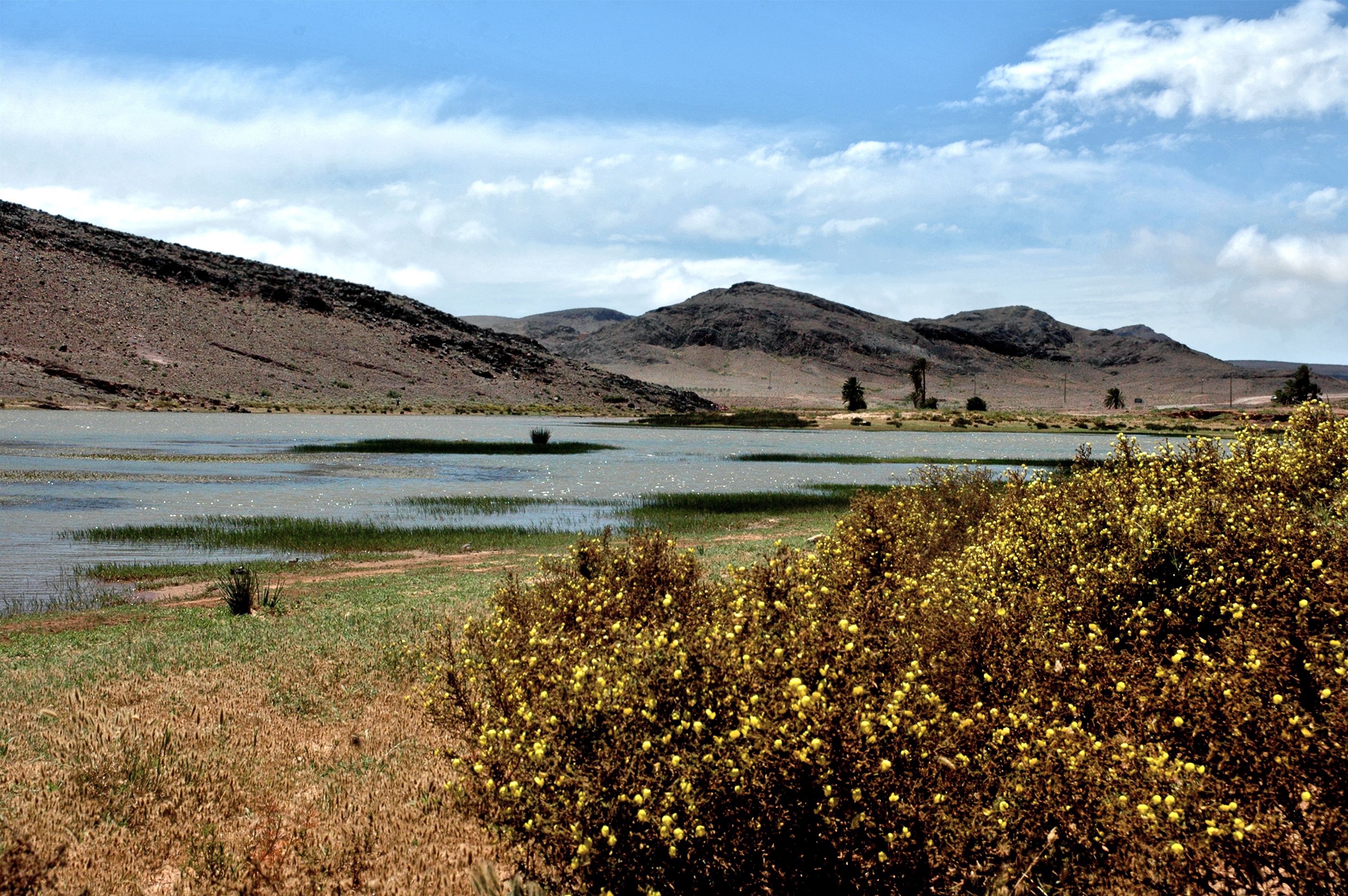 Huarán — Huarán