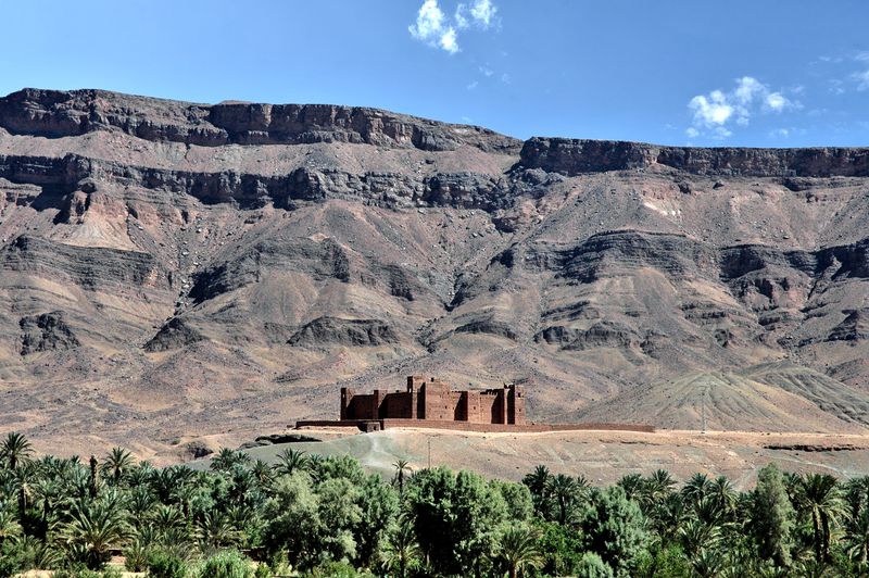 Draa Valley lush palm oasis