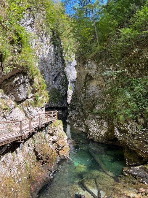 Free Explore the breathtaking Vintgar Gorge with its crystal clear waters and lush greenery in Slovenia. Stock Photo