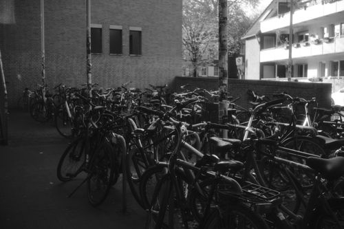 Free A monochrome image of bicycles parked in an urban area, capturing city life. Stock Photo