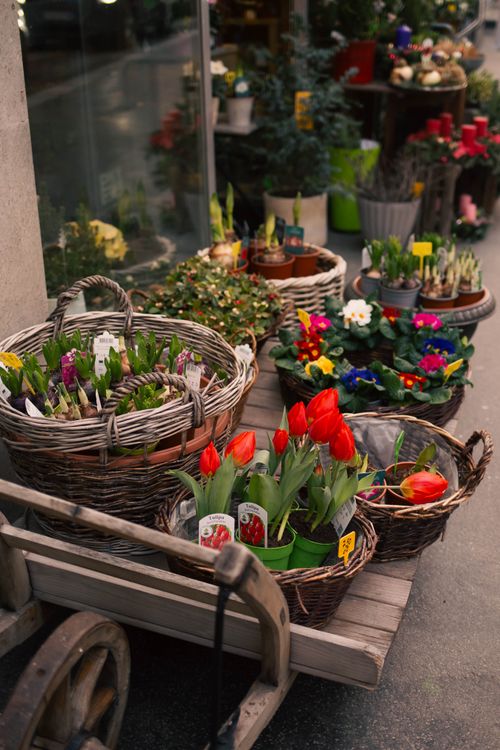 Free A delightful display of vibrant flowers in woven baskets at a Vienna market, capturing the essence of spring. Stock Photo