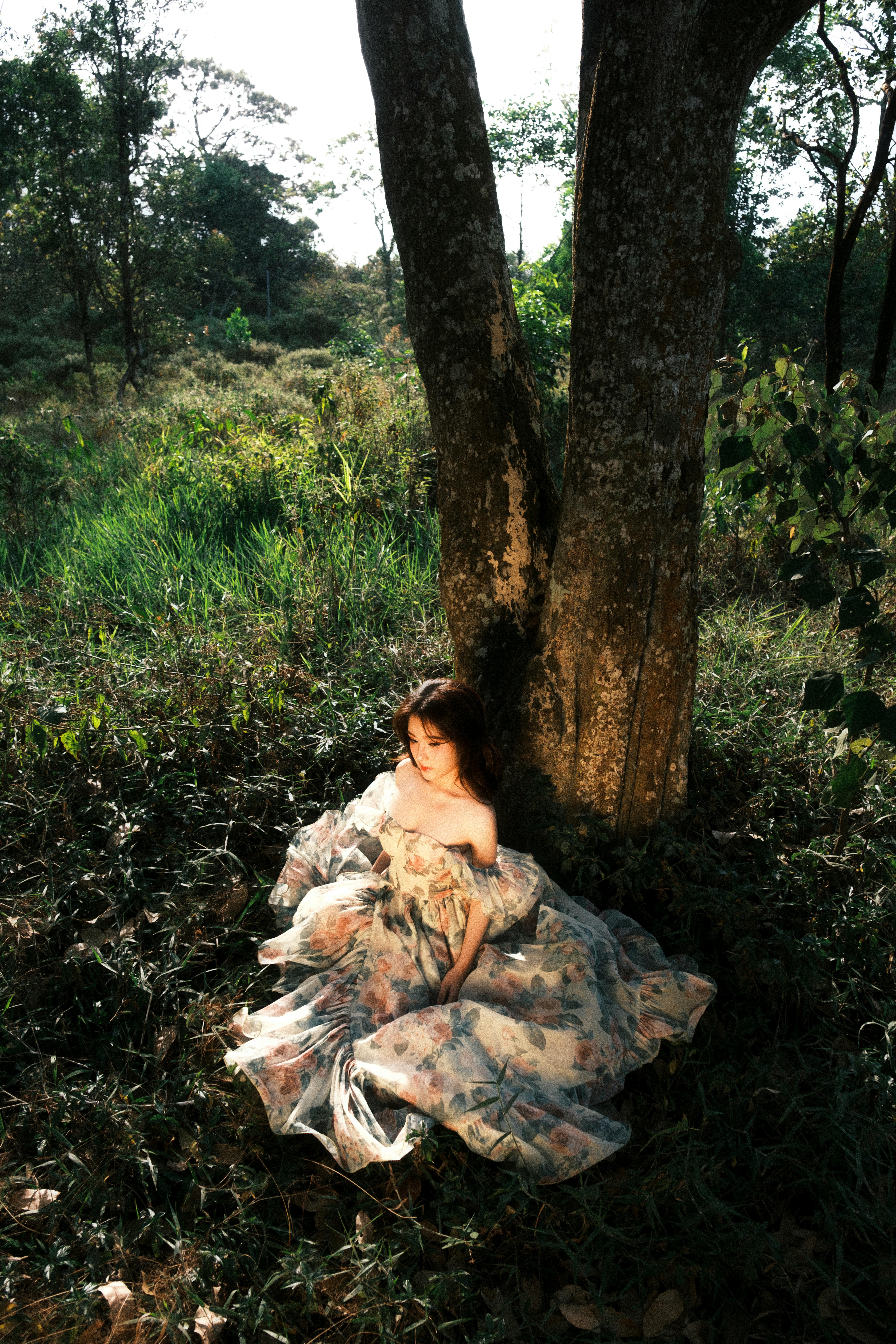 A woman in a floral gown sits gracefully under a tree, bathed in natural light.