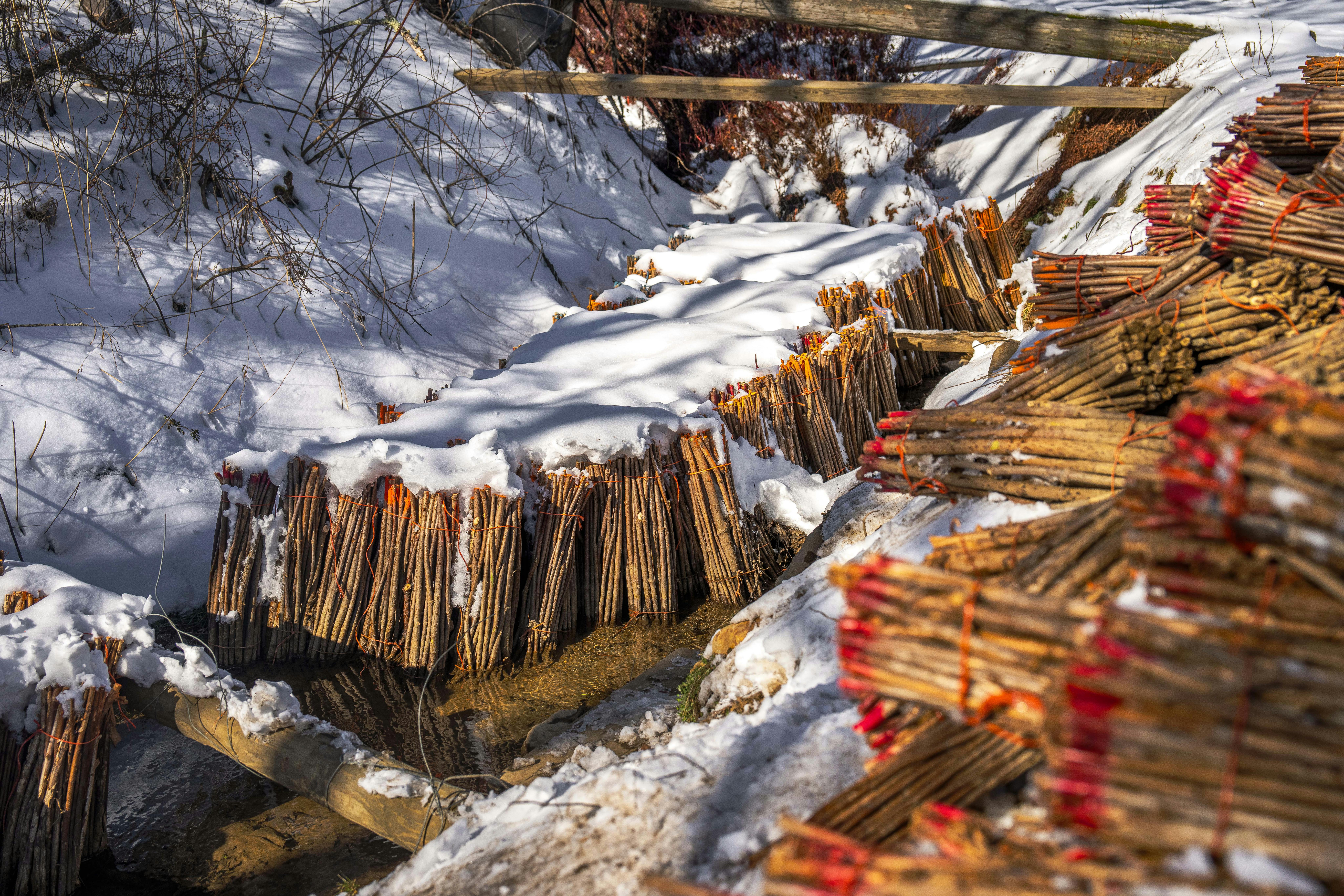 Comcast's New Bundle Signals the End of the Streaming Wars