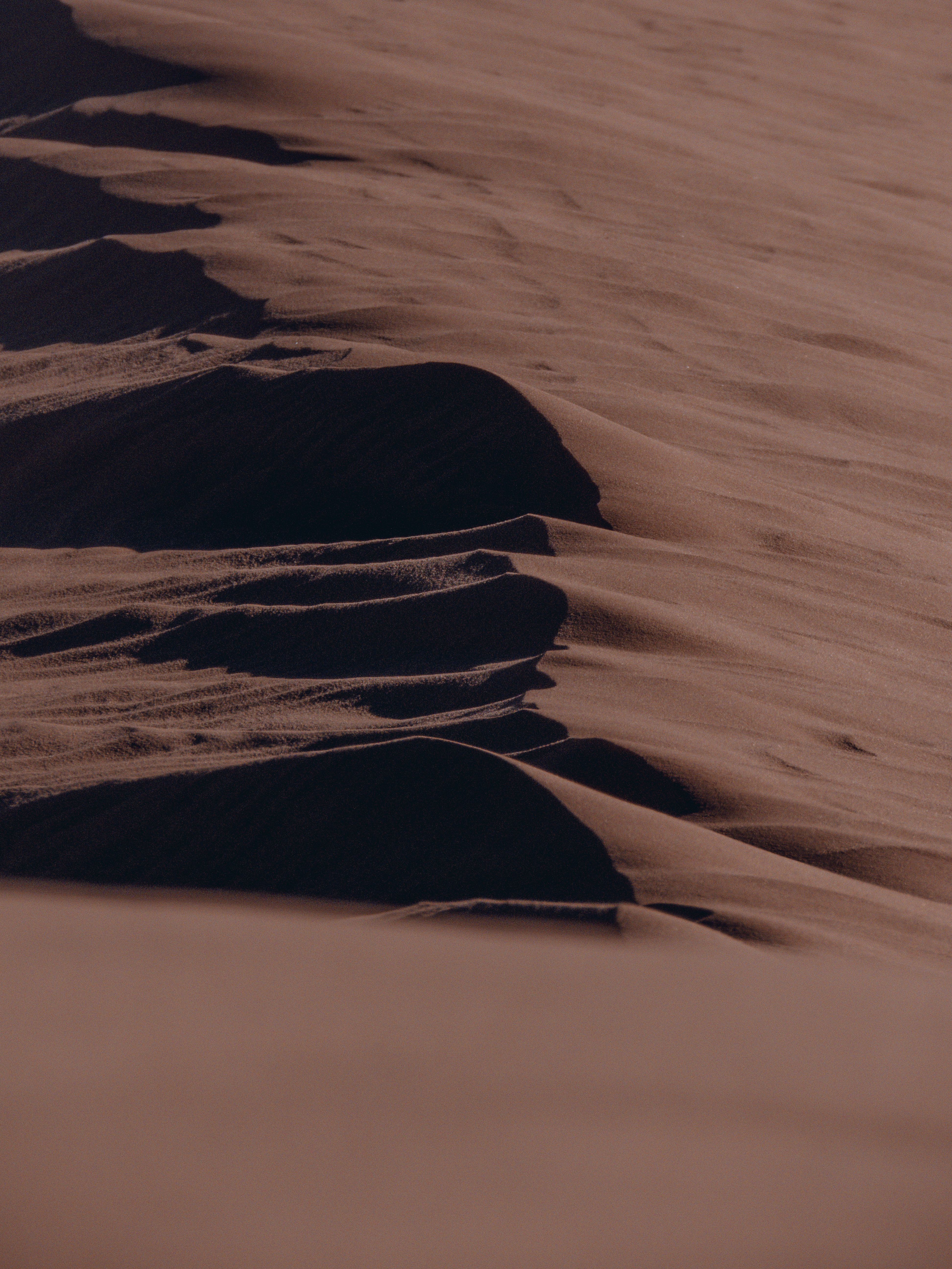Rippling golden sand dunes in a desert under a clear sky, a real stock photo with no people in the frame, chosen for the Dune: Part Three side of the Dunesday story