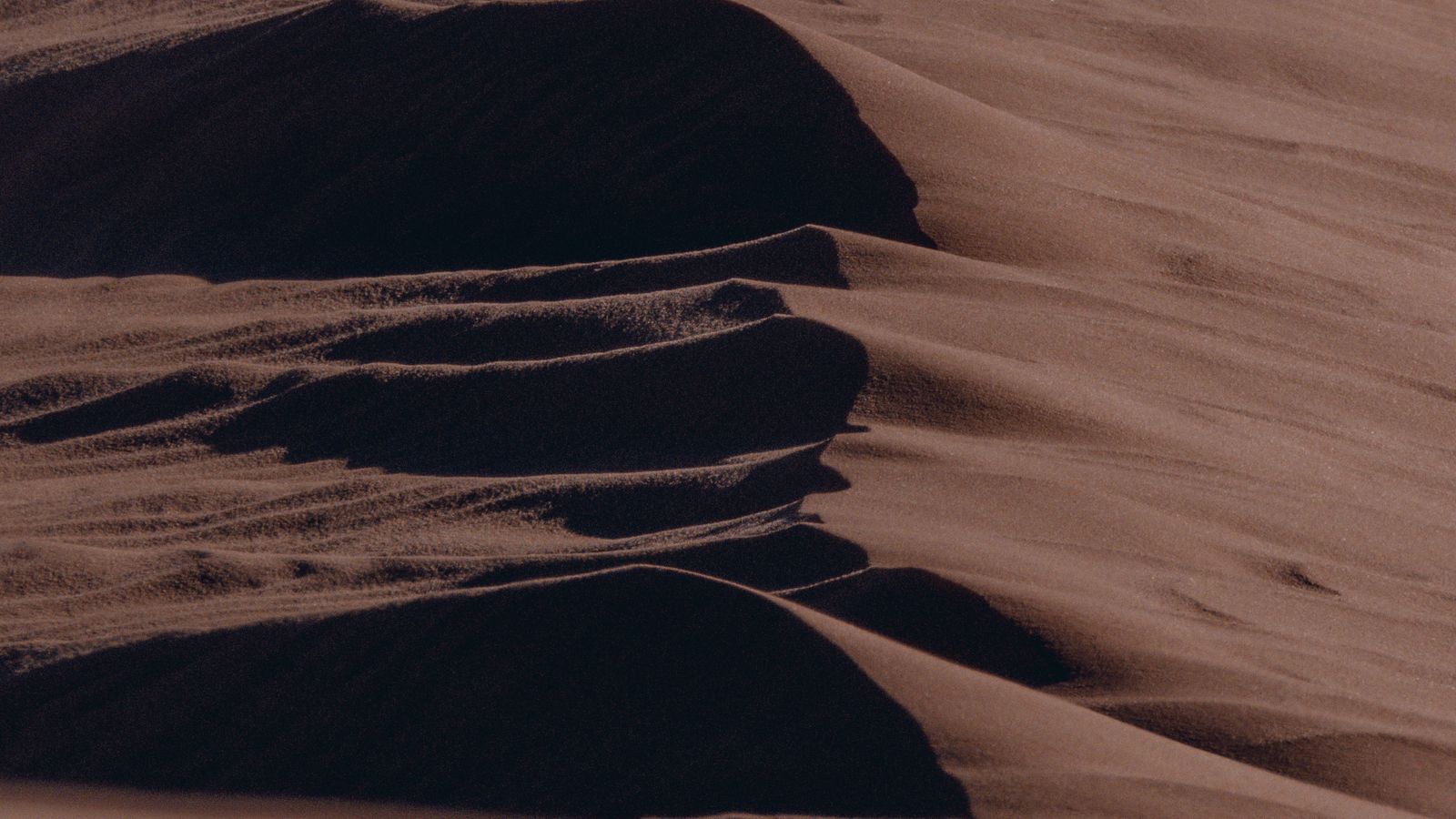 Rippling golden sand dunes in a desert under a clear sky, a real stock photo with no people in the frame, chosen for the Dune: Part Three side of the Dunesday story