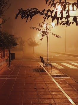 Misty night street scene in Cartagena, Spain, featuring a lonely bench and atmospheric lighting.