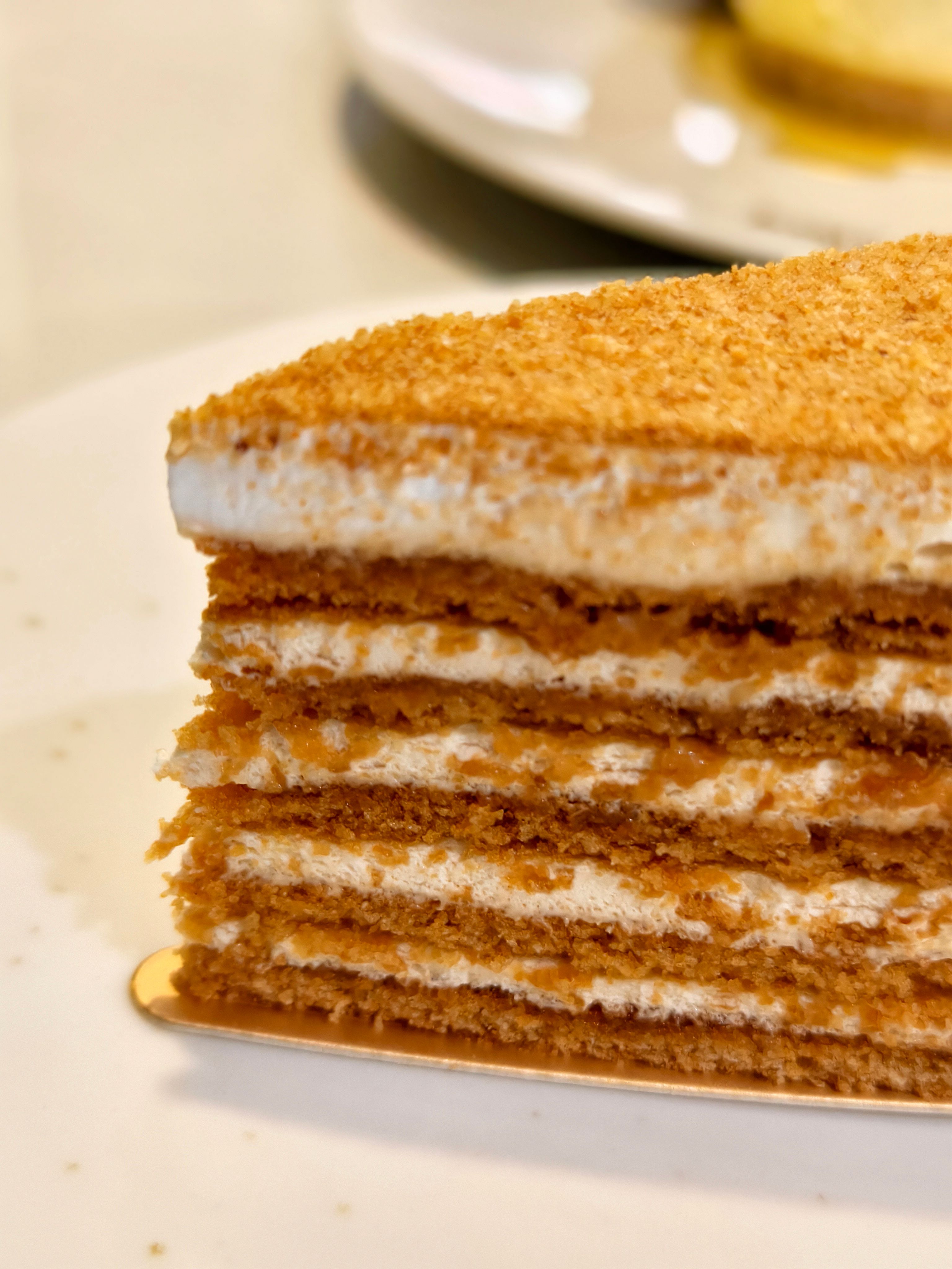 Close-up of a layered honey cake slice showing its texture and cream layers.