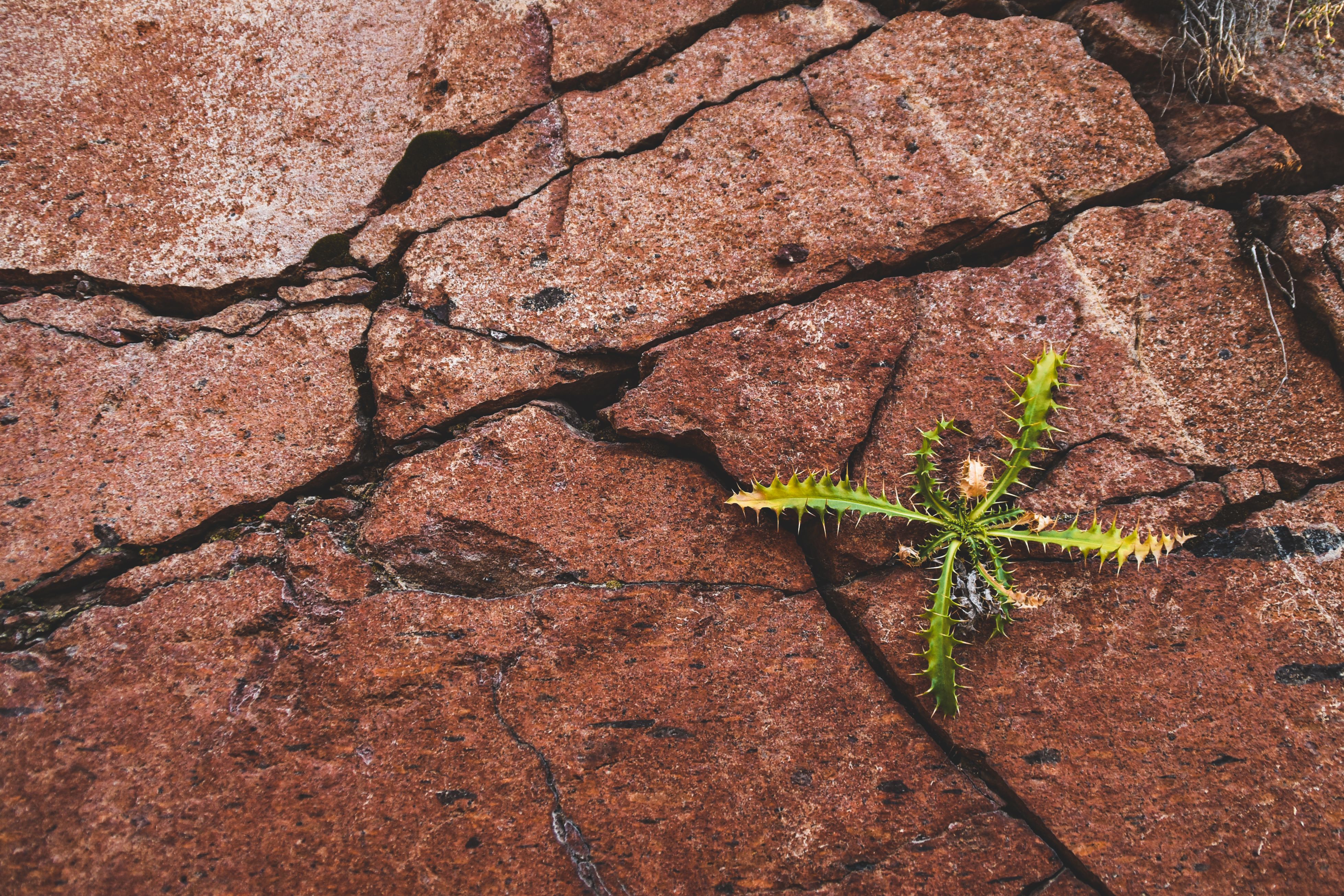 Foto: Emre Ayata / Pexels