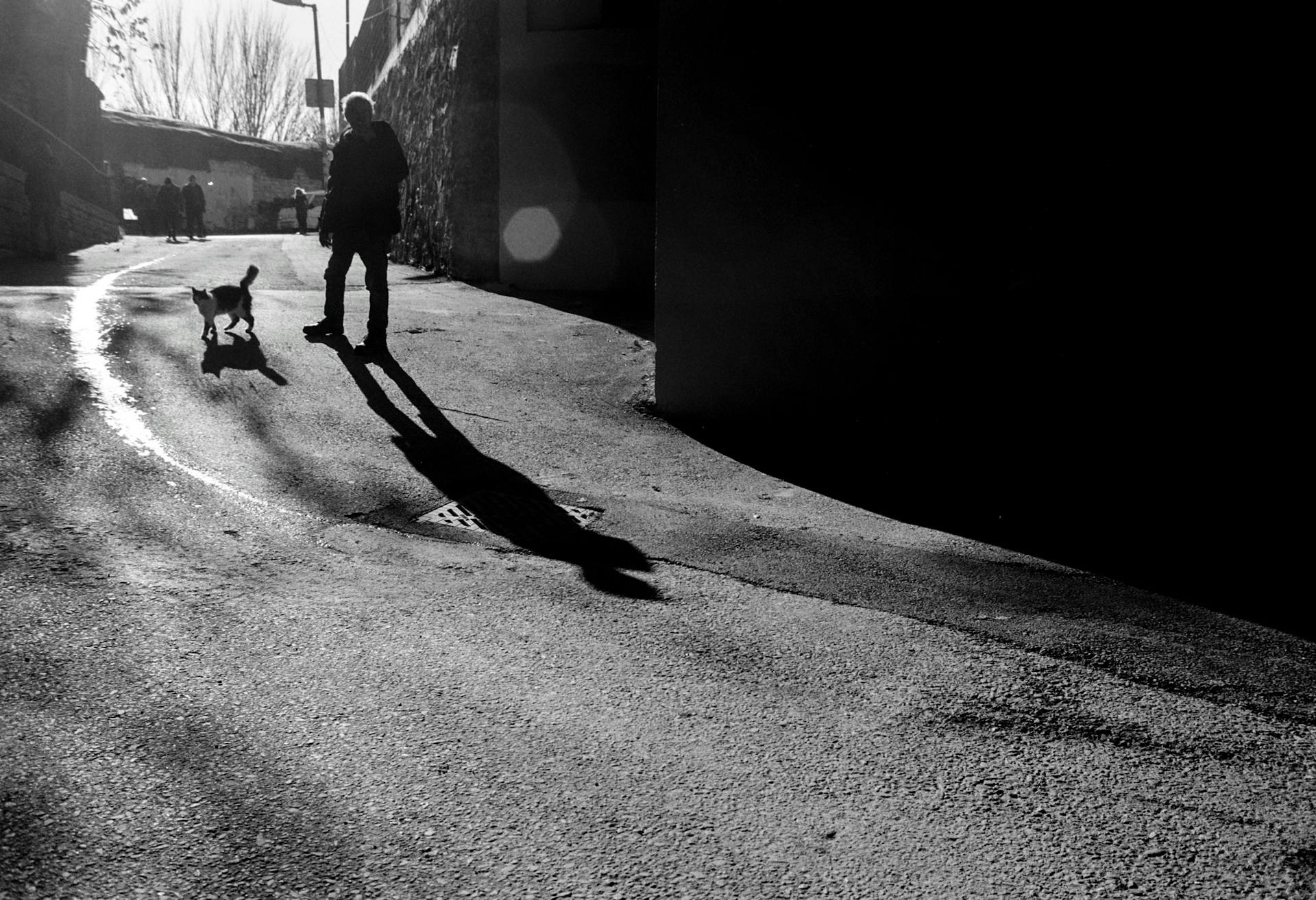 Black and white photo of a silhouetted figure and dog in Istanbul street, capturing shadows and light play.