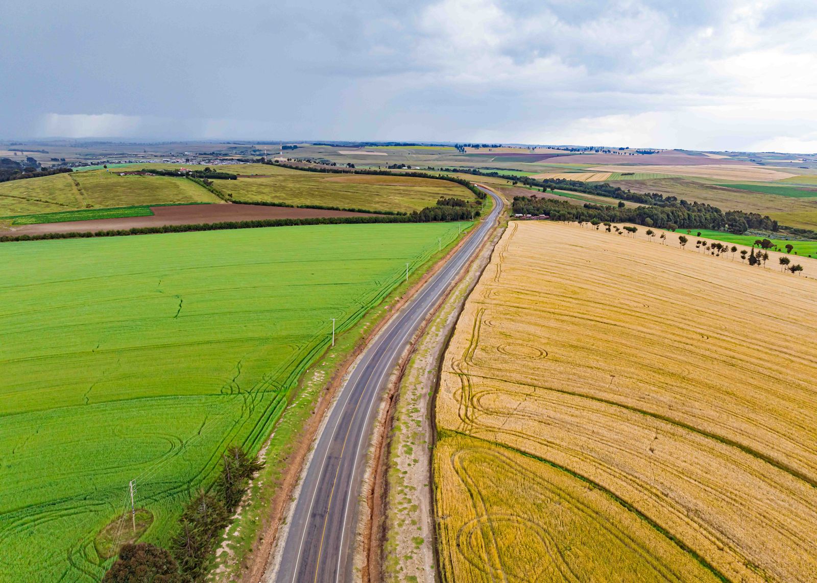 Aerial view of green farmland in Kenya