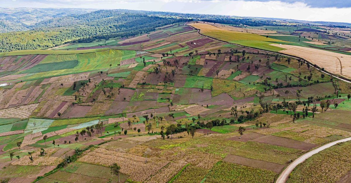 Les marques du monde qui transforment l'industrie alimentaire