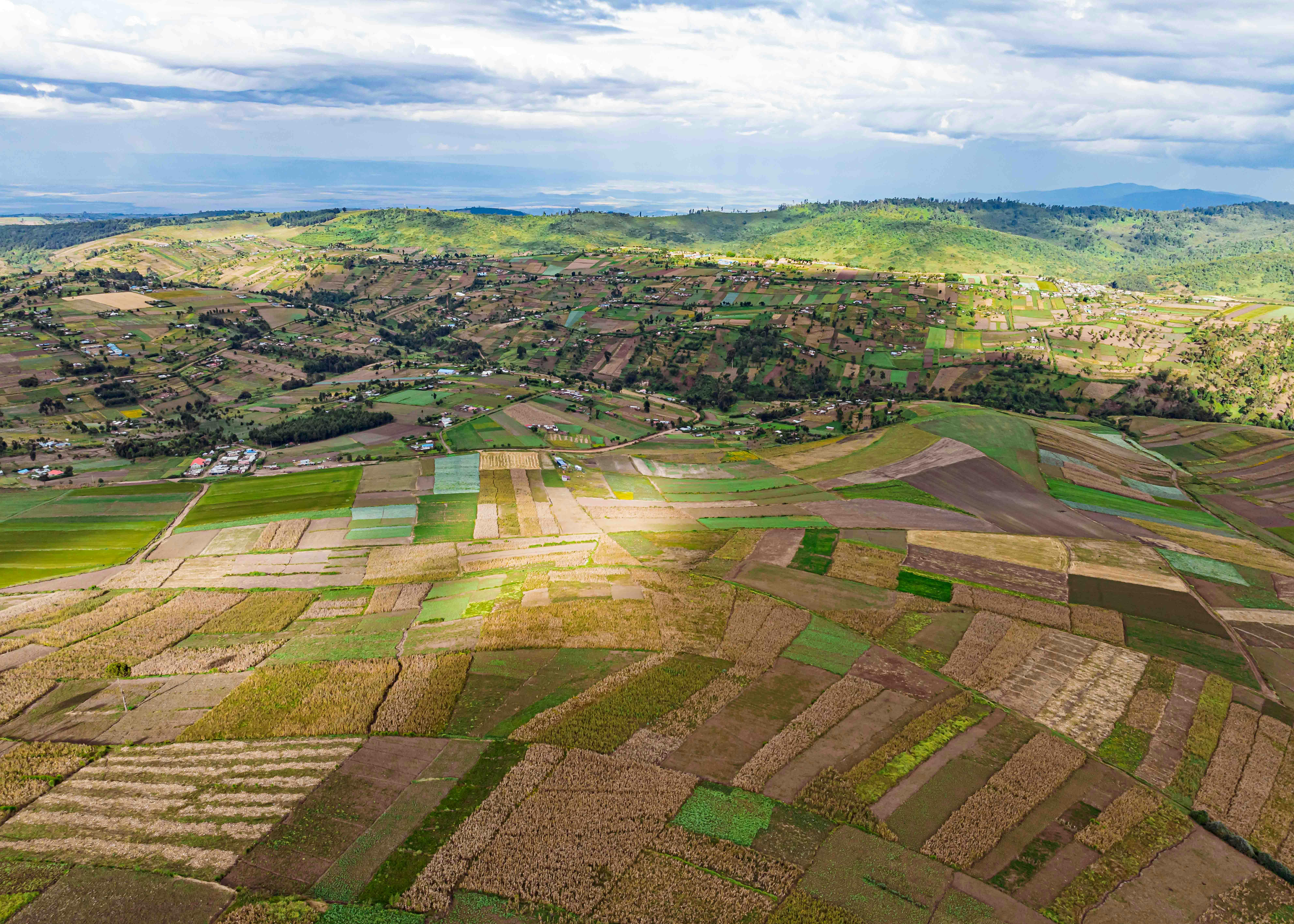 Biofarm insights image