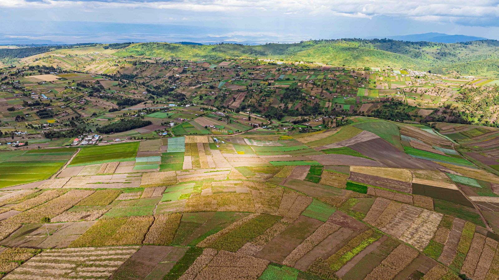Aerial view of patchwork farms