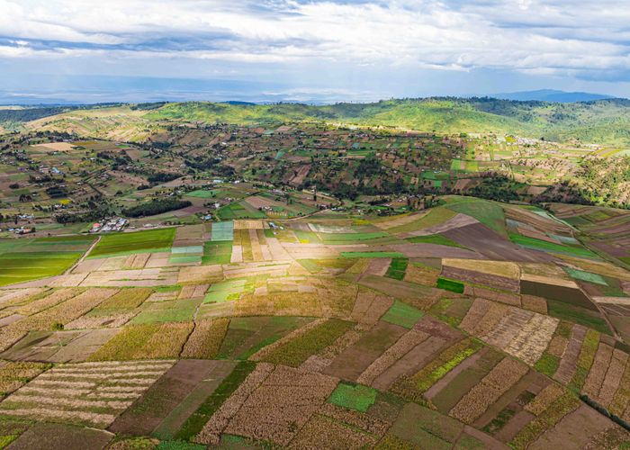 Aerial view of cultivated farmland, East Africa