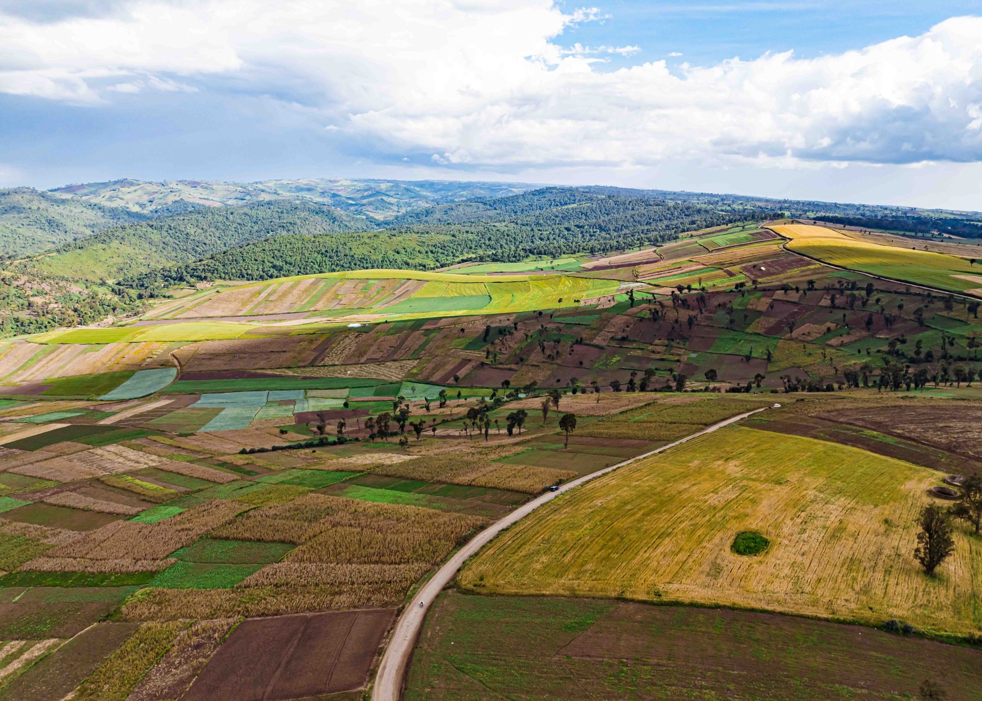 Kenya Rift Valley green mountain landscape in daylight