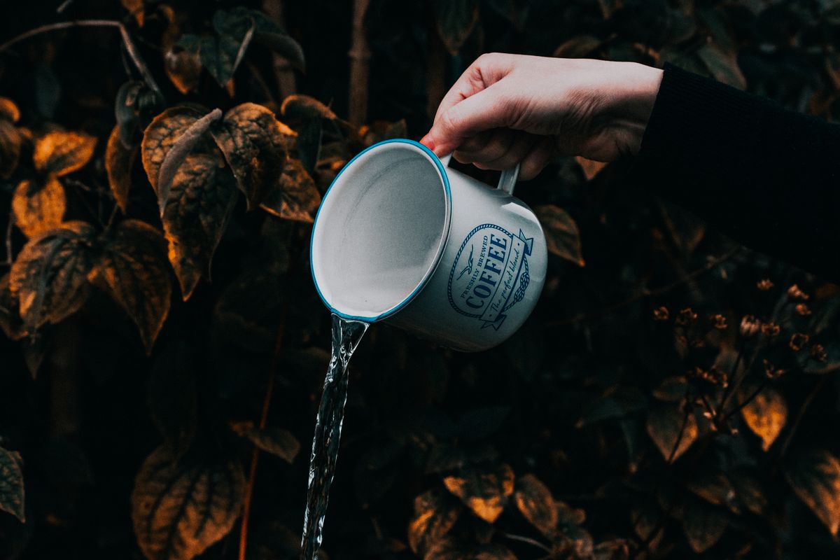 Clean water pouring into cupped hands