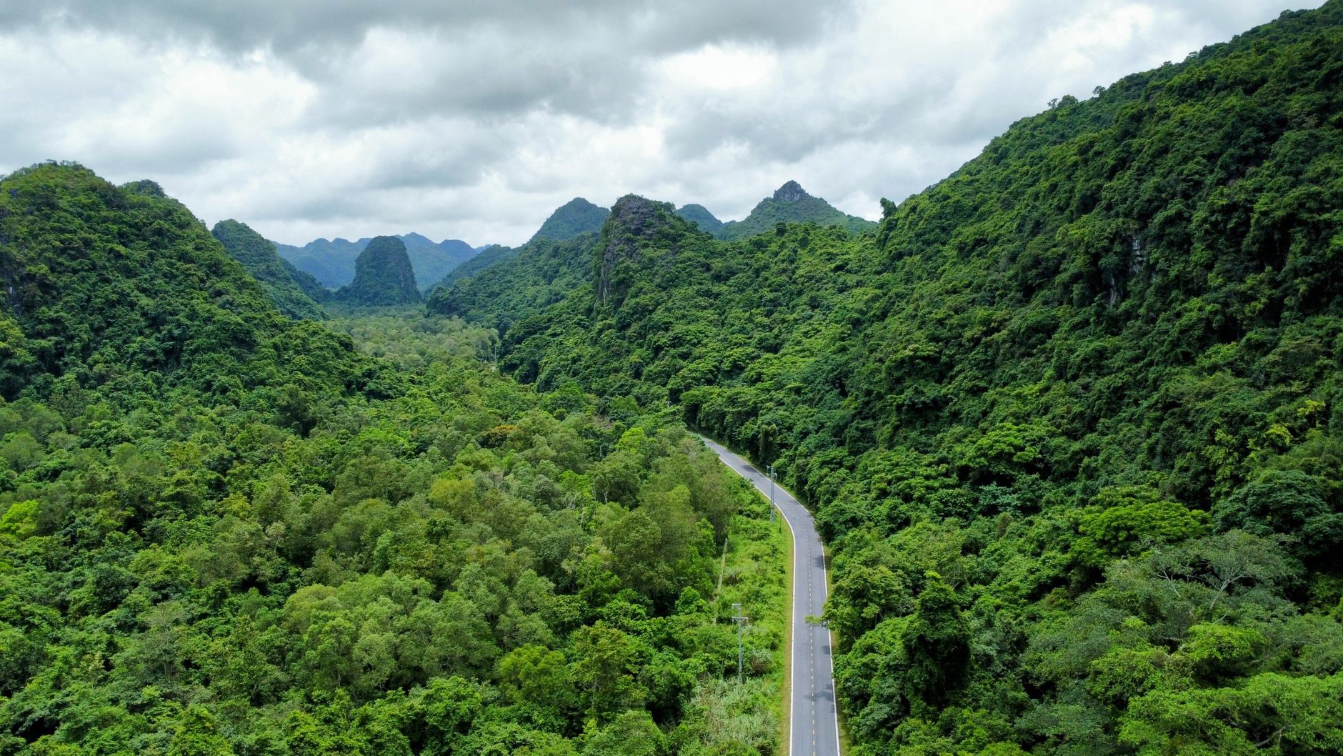 loneliest road aerial view through green hills and forest