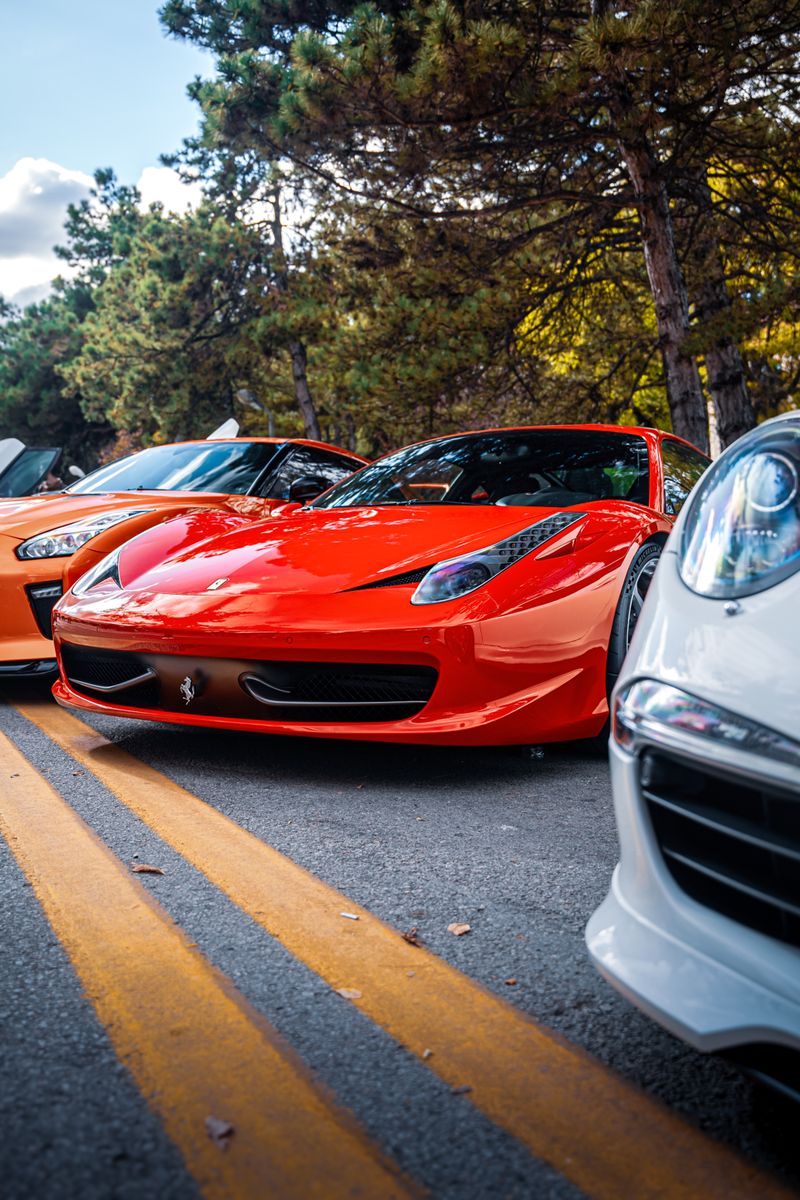 Showcasing luxurious sports cars lined up on a scenic Ankara road.