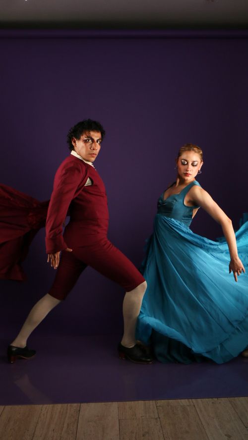 Free A couple performing a graceful ballroom dance in vibrant costumes on a purple background. Stock Photo