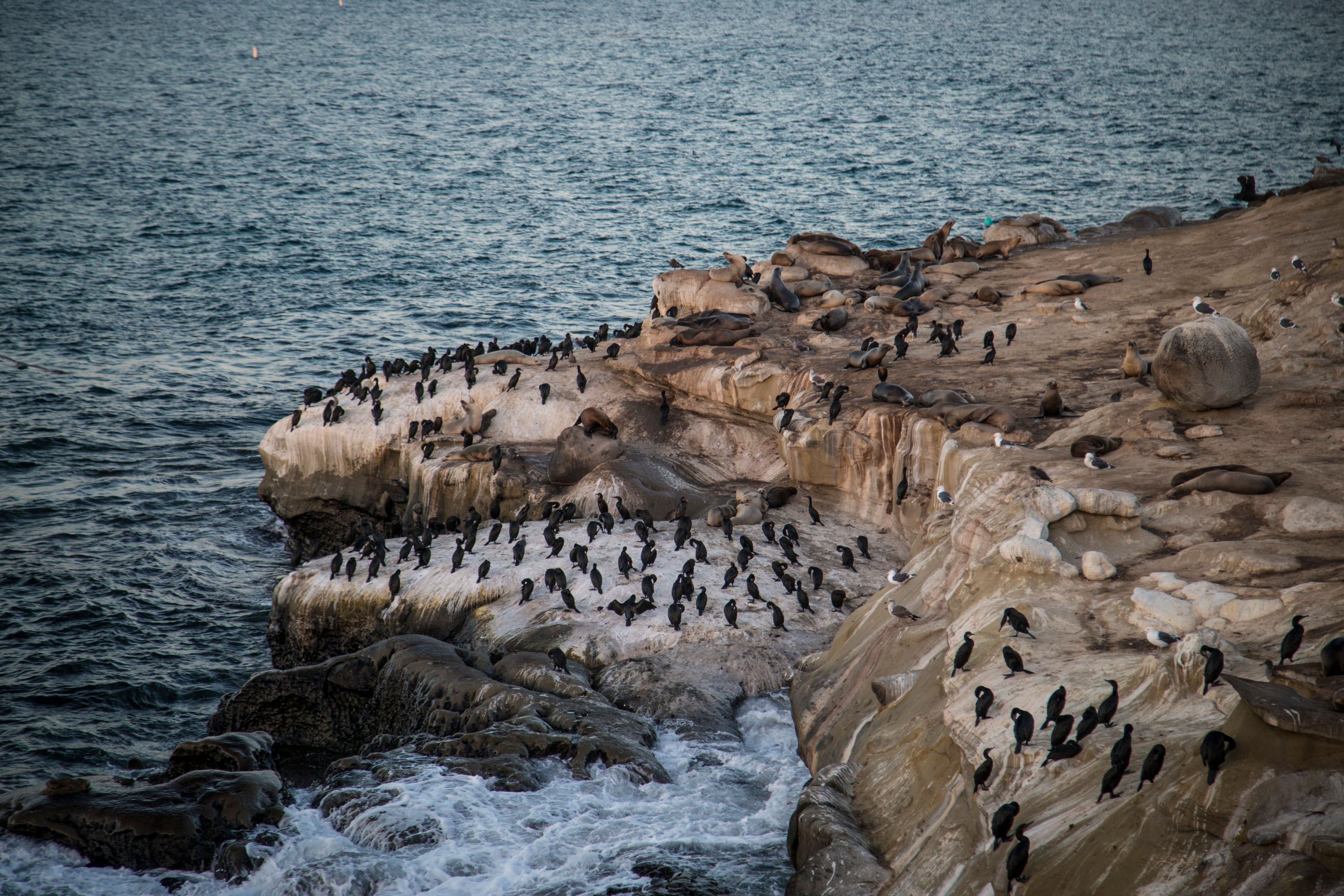 La Portada Natural Monument