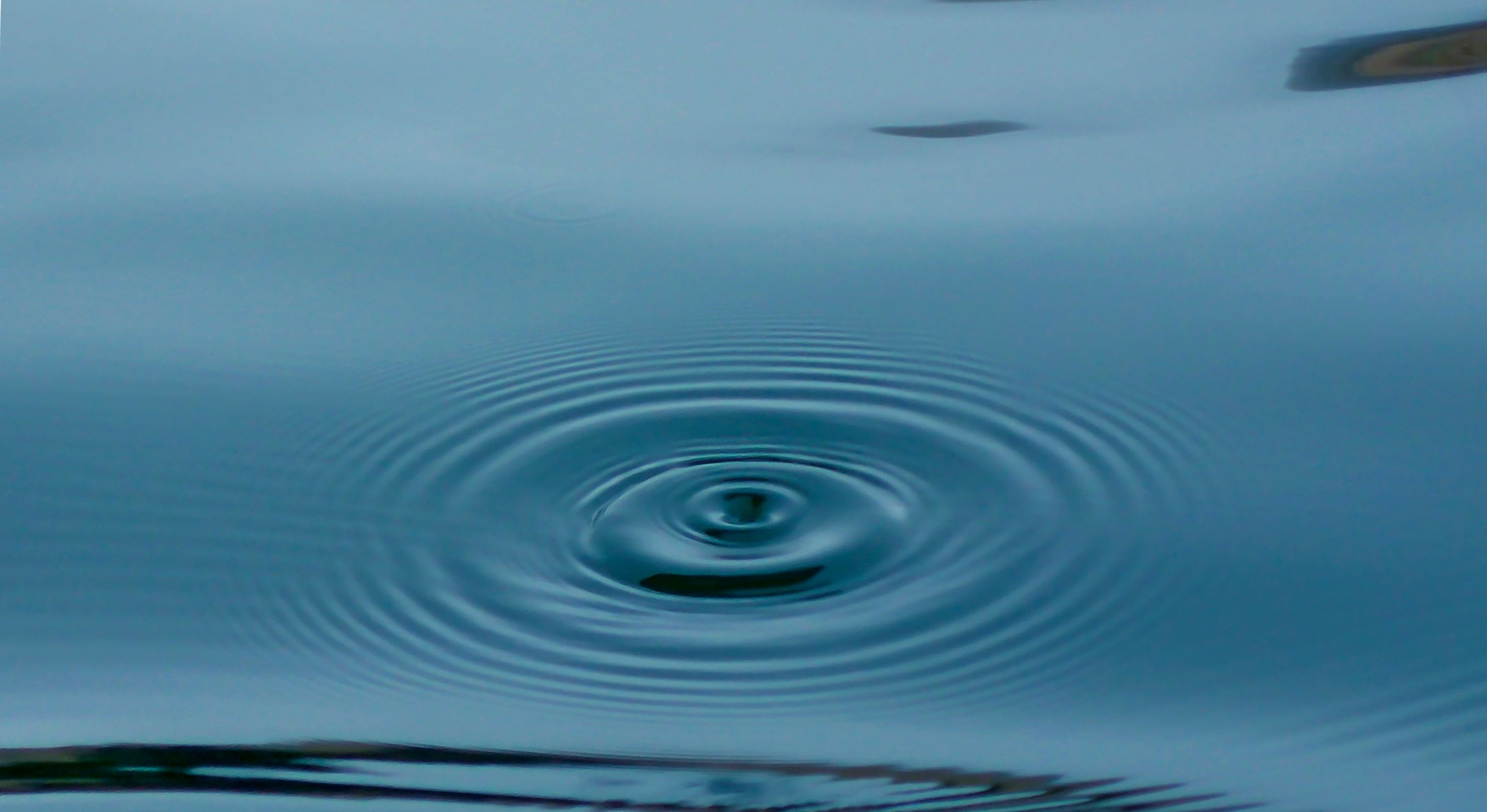 Rippling Blew Millions on AI, Then Built a Tool to Track Your Employees' Spending