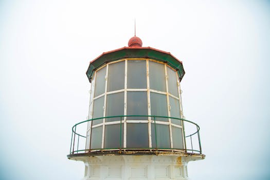 Pointe A Pitre, Guadeloupe photo 5