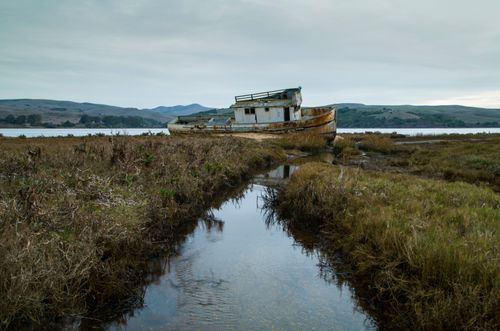 Free Rustic shipwreck in marshland at Point Reyes, adding an eerie coastal charm. Stock Photo