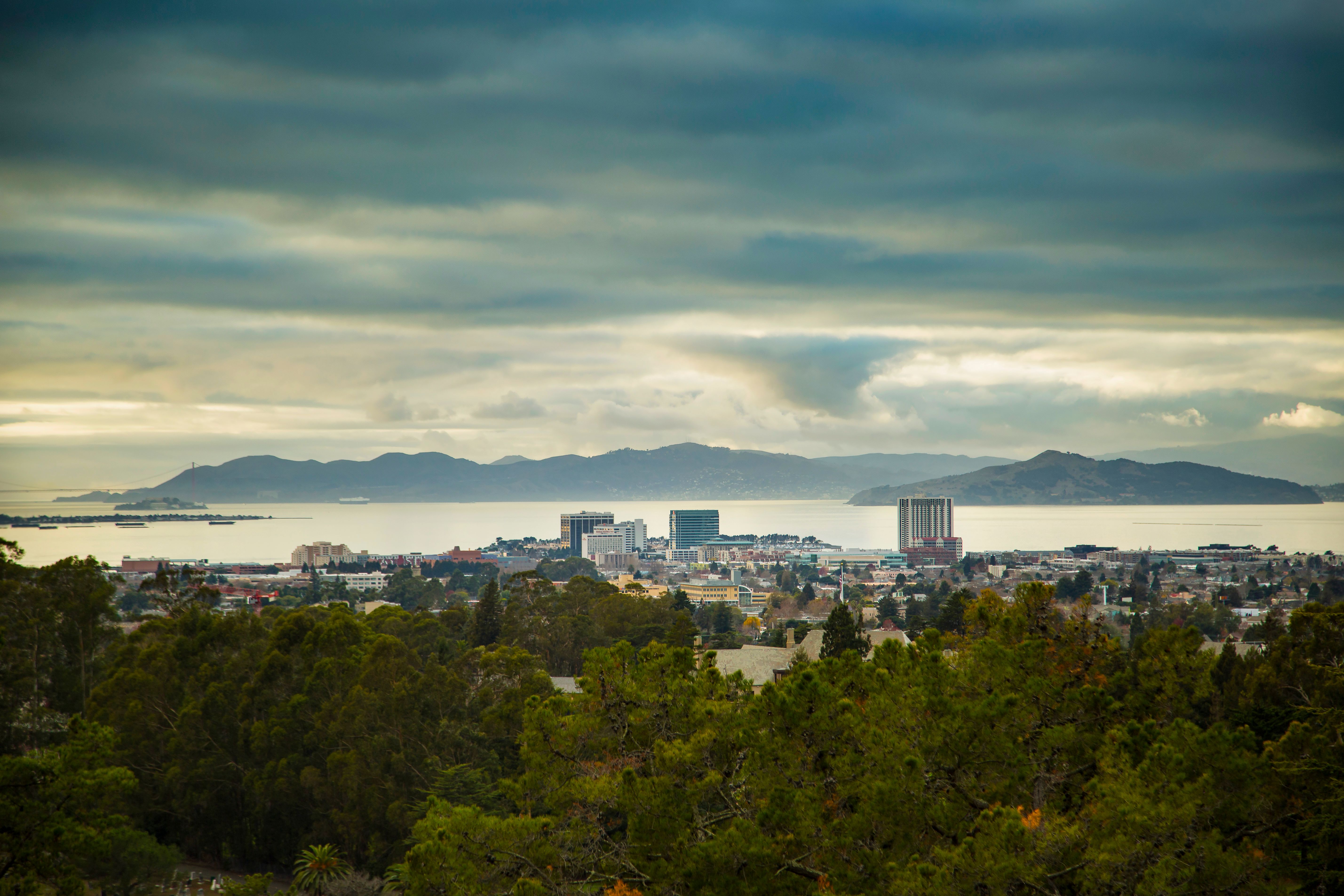 A breathtaking view of the San Diego Bay and the downtown waterfront - 1 bedroom apartments with views san diego