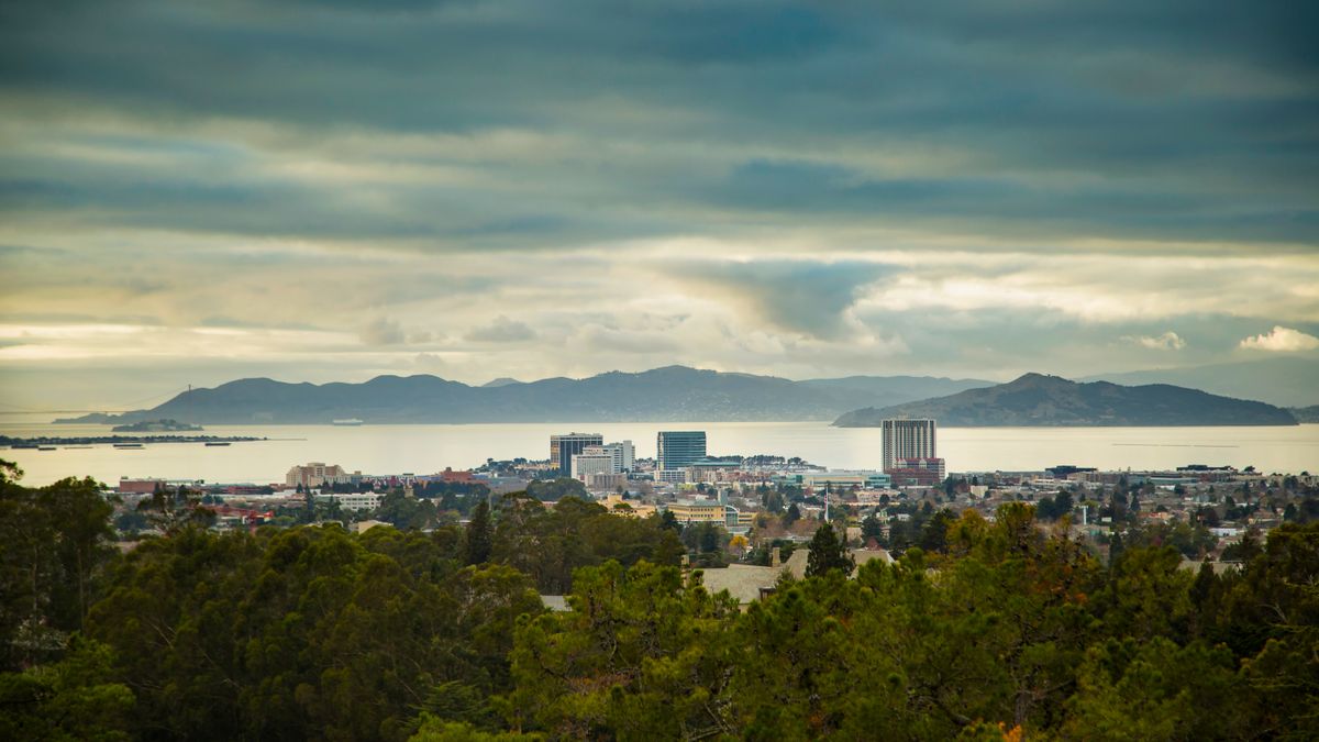 Top Oakland, CA Product Giveaways With No Purchase Necessary: Safe Entry Guide