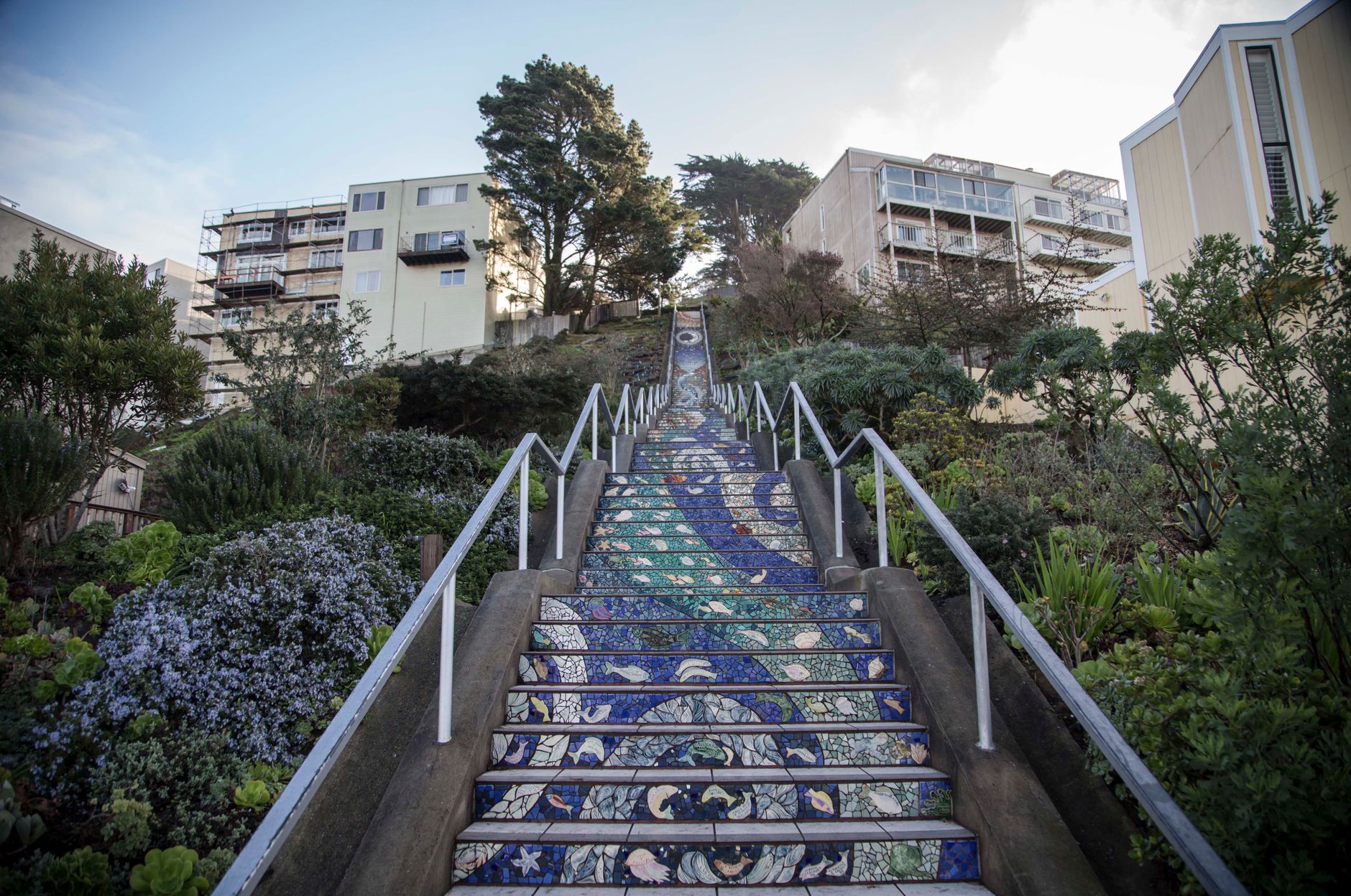 Beautiful mosaic tiled steps ascending between residential buildings in San Francisco.