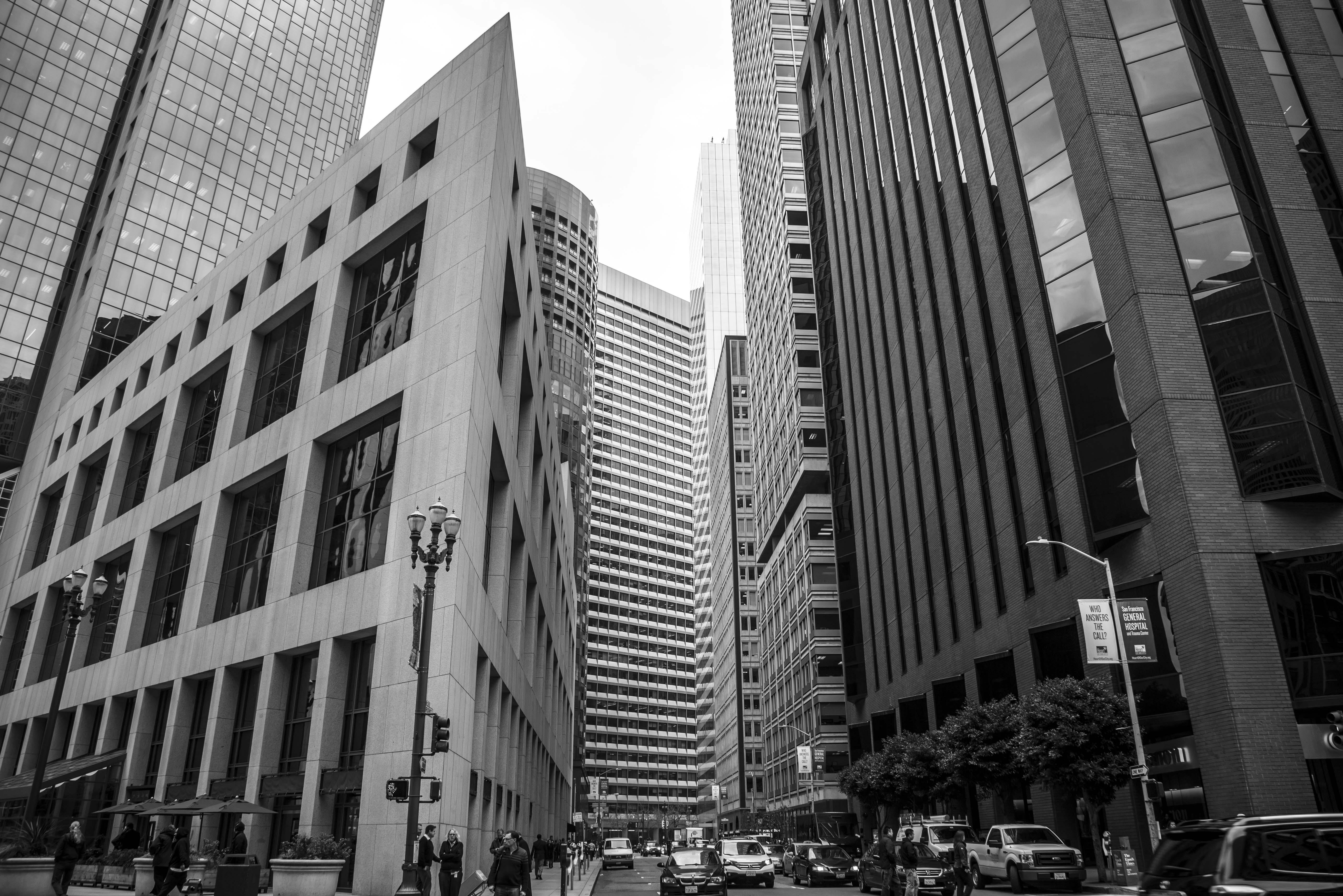 civic life examples — Photo by Stephen Leonardi on Pexels
