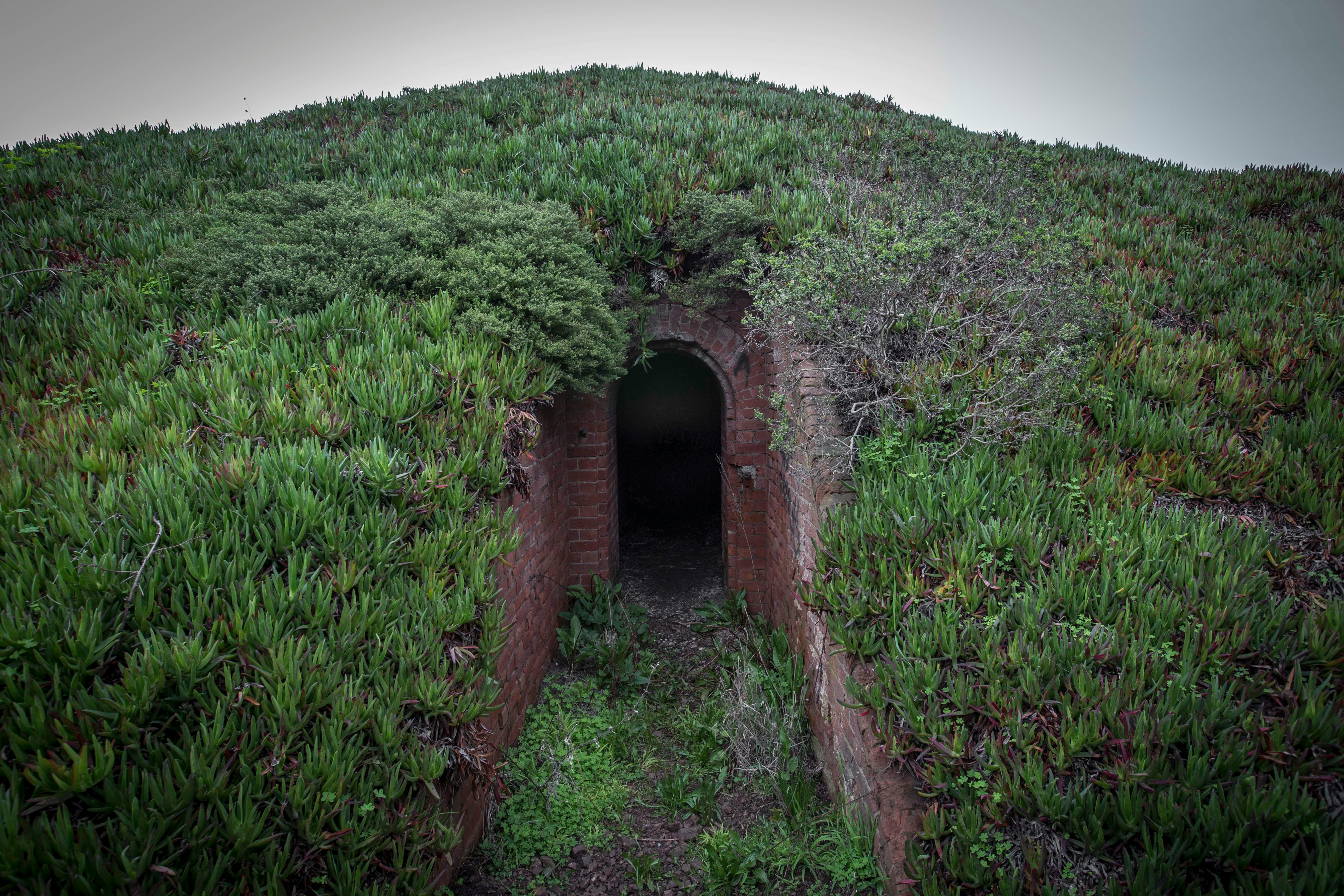 riviera maya hidden gems off the beaten path - Explore a hidden entrance surrounded by lush greenery and mystery.