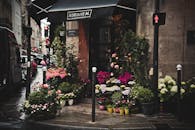 在充满活力的城市街道上，有一家风景如画的花店，展示着各种色彩缤纷的花朵