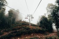 云雾缭绕的山景中，缆车穿行于森林之间，非常适合旅行和亲近自然
