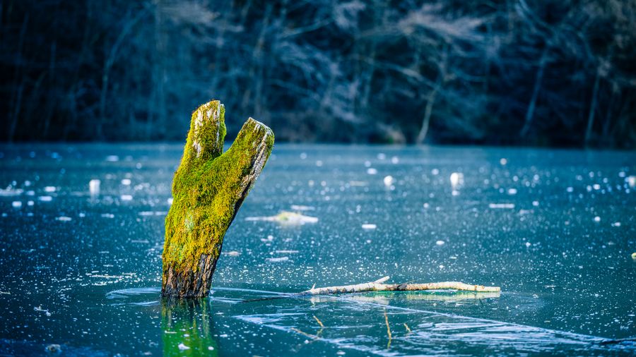 Fishing in Canada: Salmon, Ice Fishing, and Three Coasts