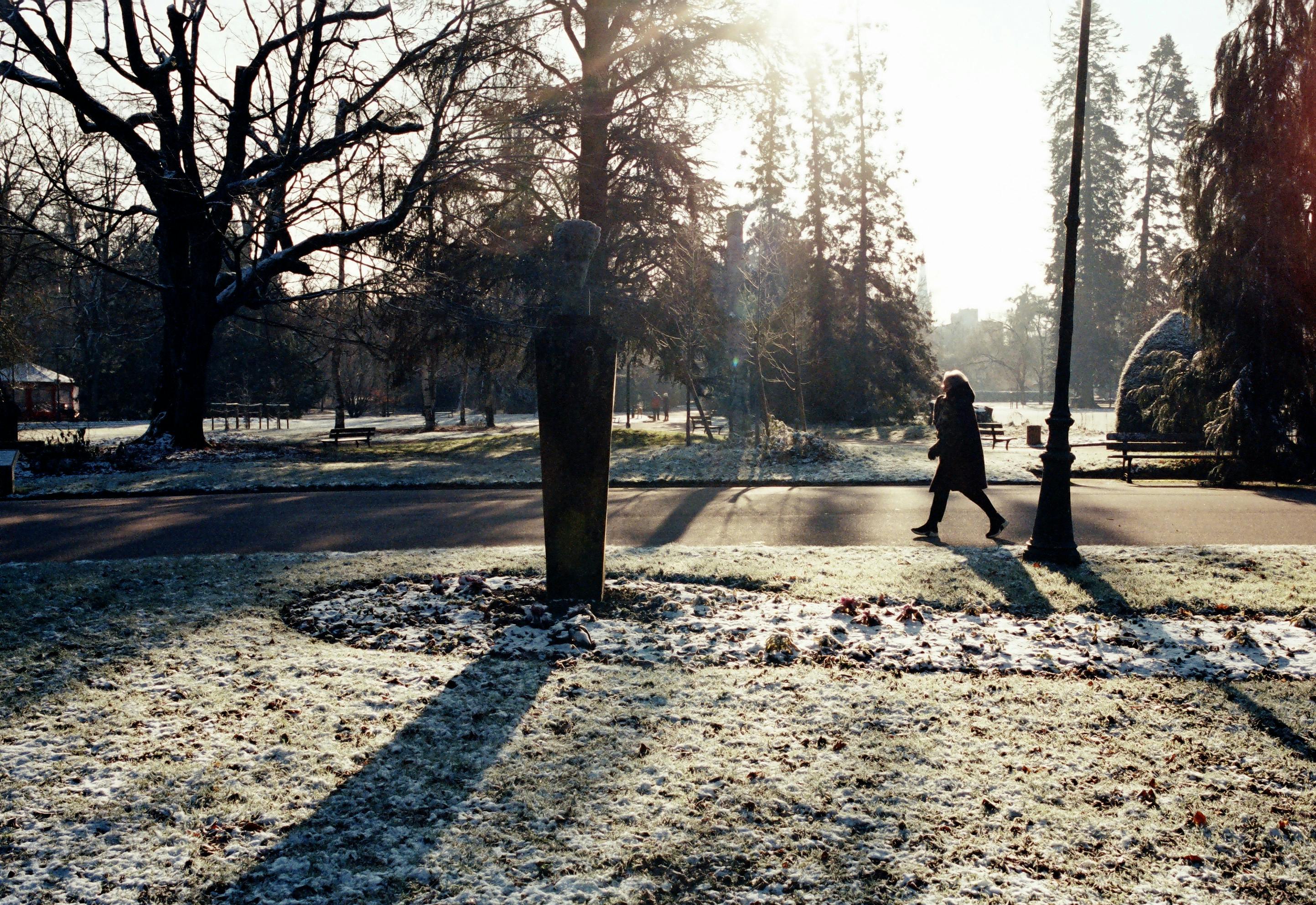 A peaceful Sunday morning scene with a person walking toward a church building, sunlight filtering through trees