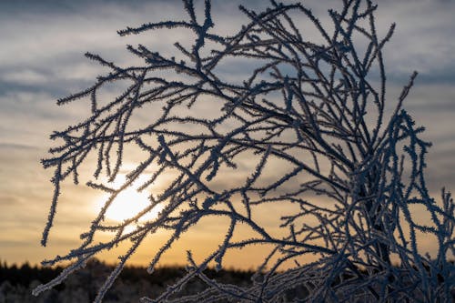Strong Cold Front Brings Big Cooldown To Central U.S.