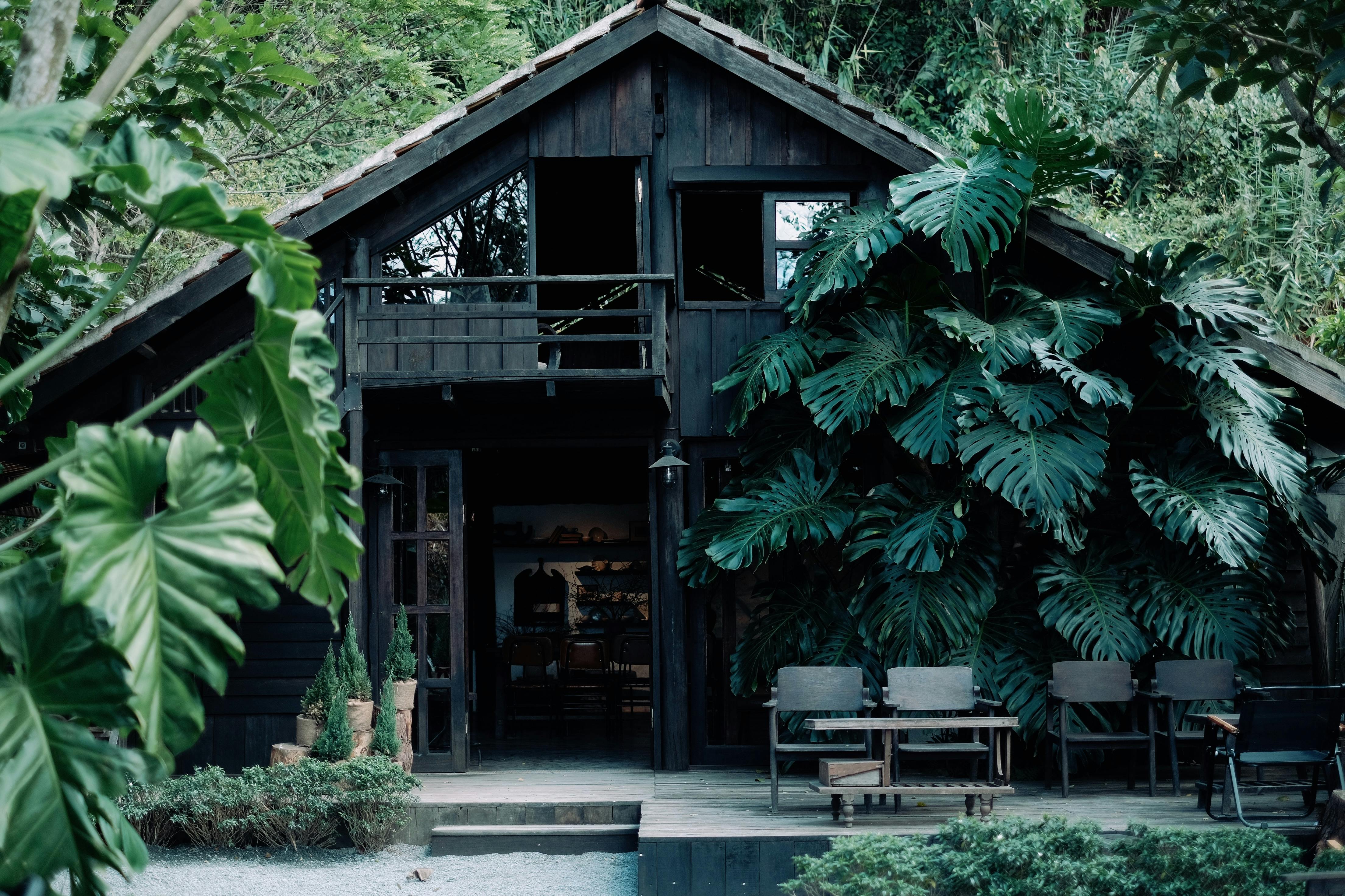 The Energy Vampires Haunting Your Home — Photo by Pew Nguyen on Pexels