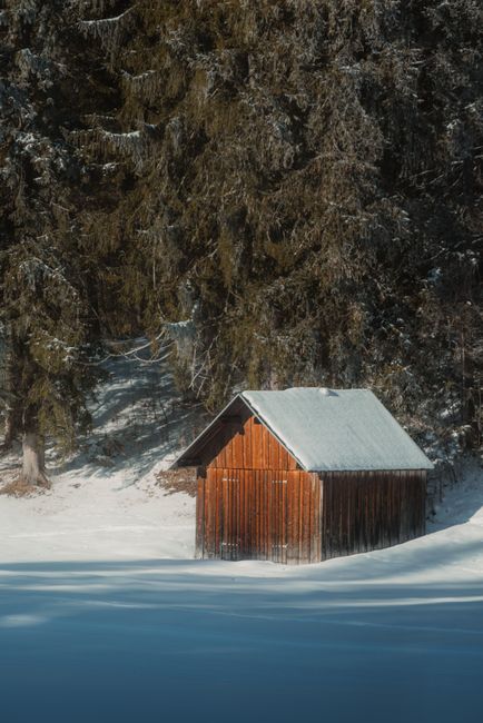 A picturesque wooden cabin in a tranquil snowy forest, ideal for wallpapers and nature backgrounds.