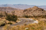 一条蜿蜒的道路穿过约书亚树国家公园的沙漠景观，那里有岩石山脉和标志性的约书亚树