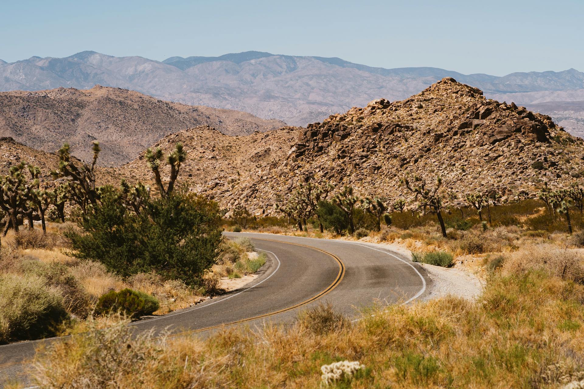 Photo of Curve Road Near Grass and Trees