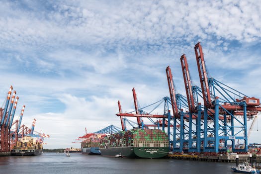 View of container ships and cranes at Hamburg Port, highlighting global trade.