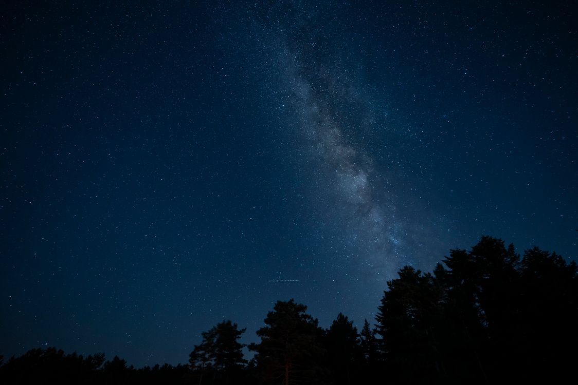 Starry Night Sky with Milky Way Over Forest · Free Stock Photo